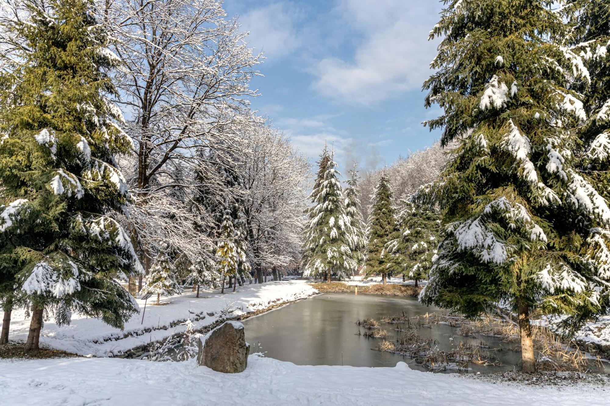 Voevodyno Resort Tur'ya Paseka Buitenkant foto